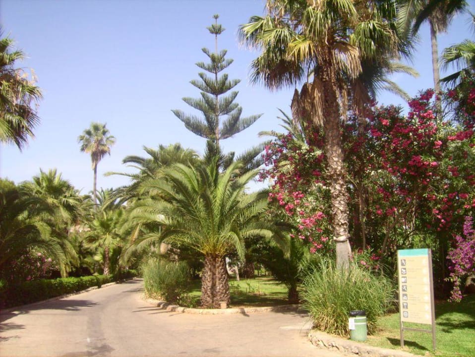 Wunderschöne Grünanlage Flipflop Cala Romantica