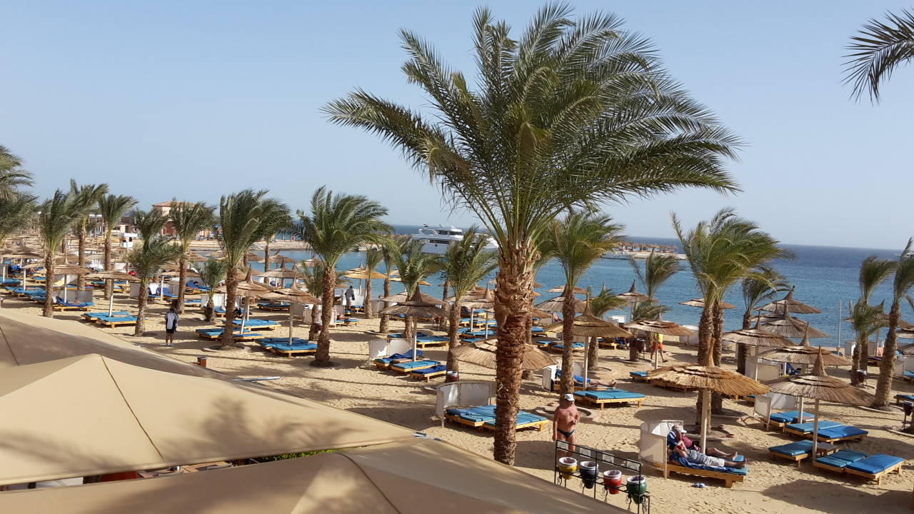 Beach Albatros Resort Beach Albatros Resort