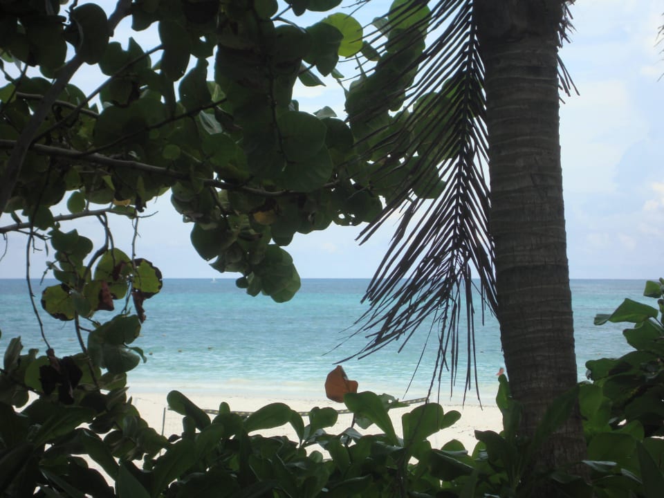 Hotel Catalonia Playa Maroma Catalonia Playa Maroma