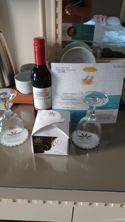 Zimmer Aydinbey Kings Palace & Spa