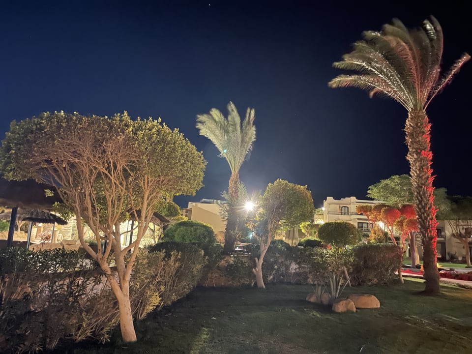 Gartenanlage Lotus Bay Beach Resort