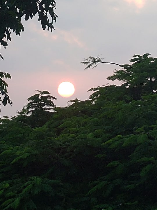 Ausblick Hotel Riu Palace Zanzibar