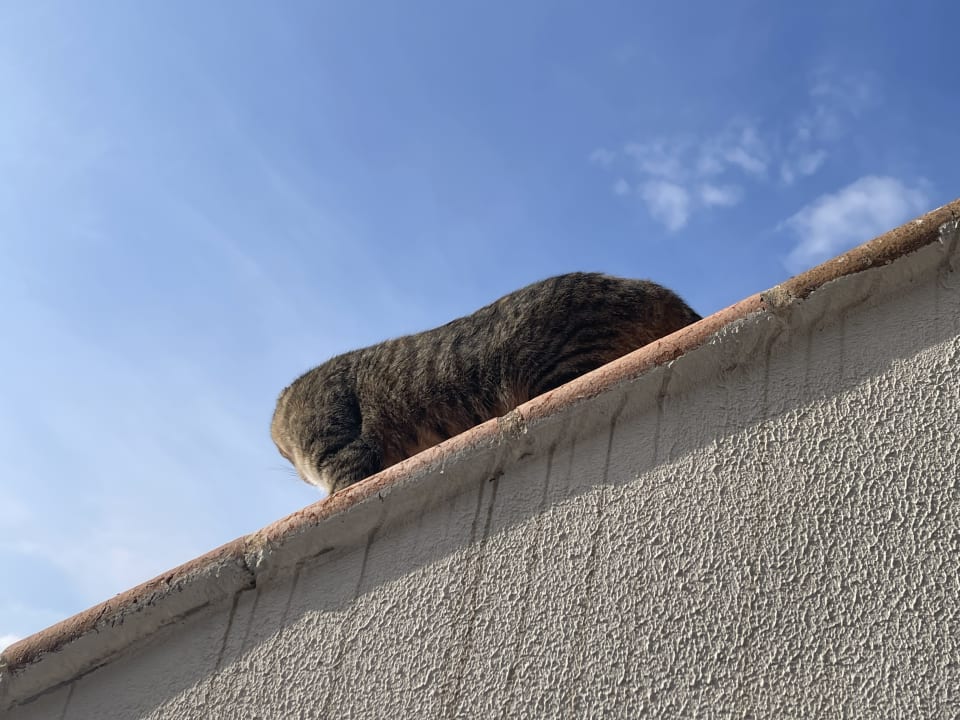 Sonstiges Limak Limra Hotel & Resort