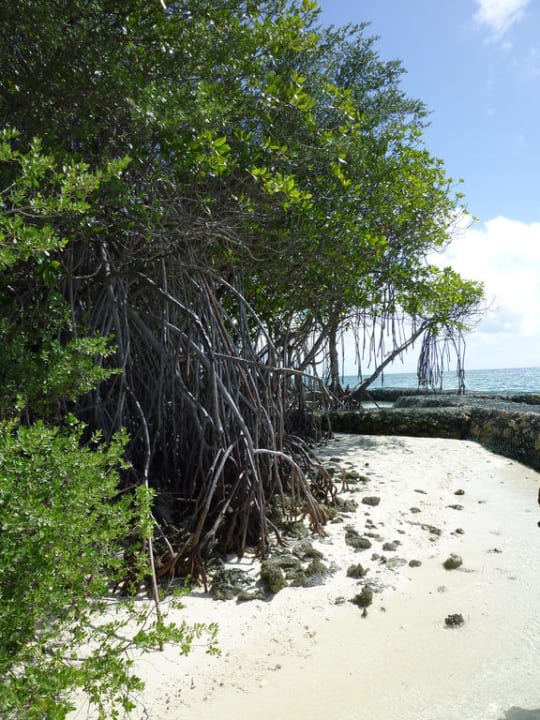 Strand Kuredu Island Resort & Spa