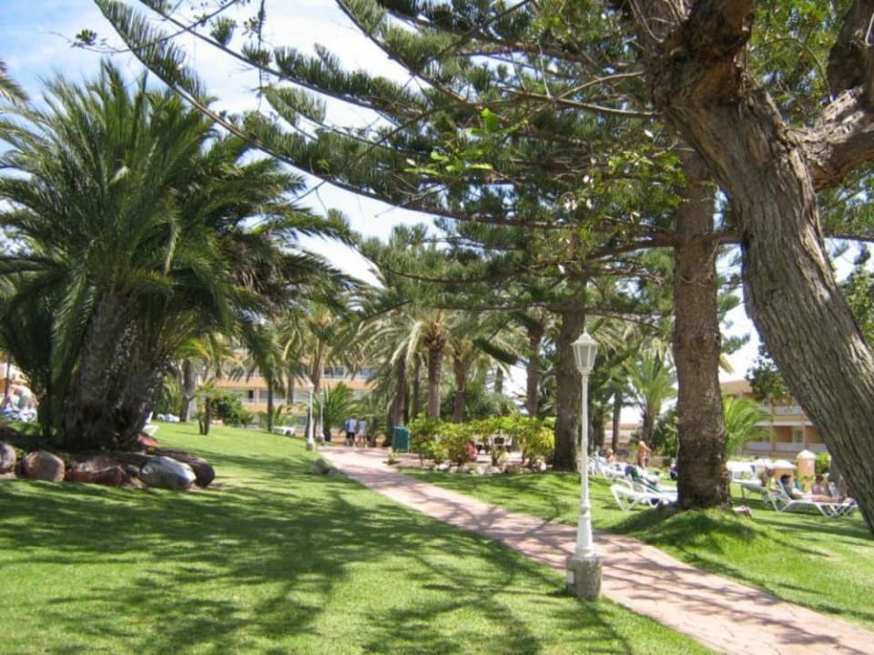 Poollandschaft Abora Interclub Atlantic by Lopesan Hotels