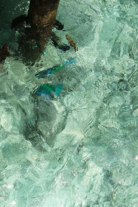 Außenansicht Centara Ras Fushi Resort & Spa Maldives