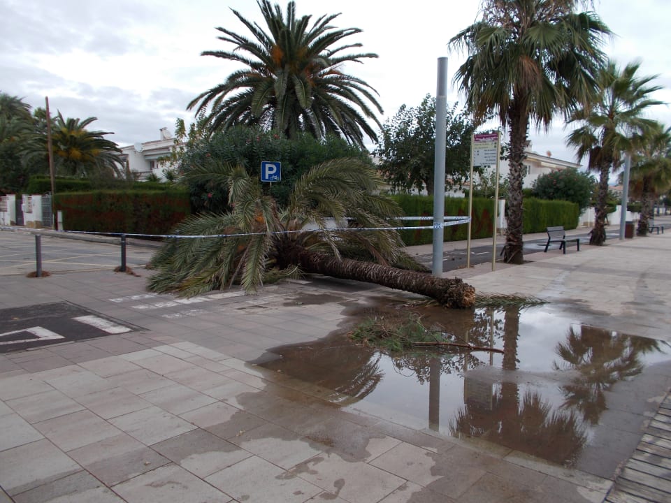 Sonstiges Estival ElDorado