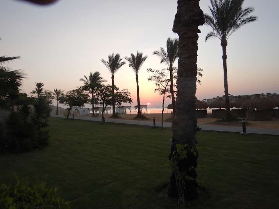 Strand Steigenberger Coraya Beach - Adults only