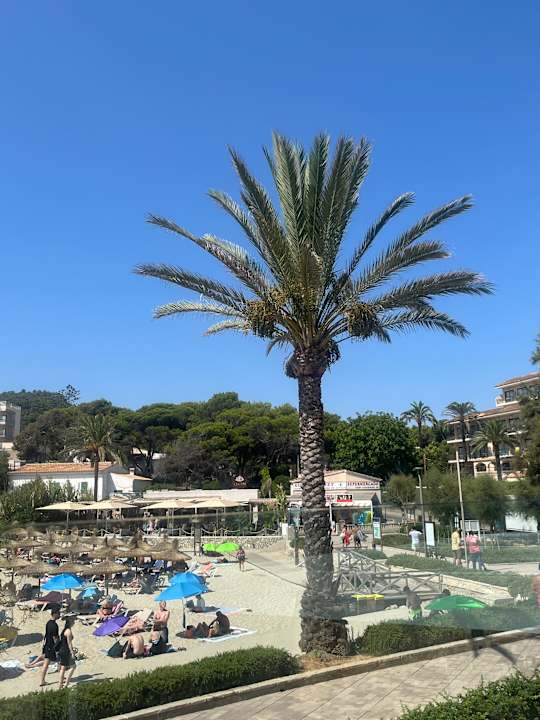 Gastro Son Moll Sentits Hotel & Spa