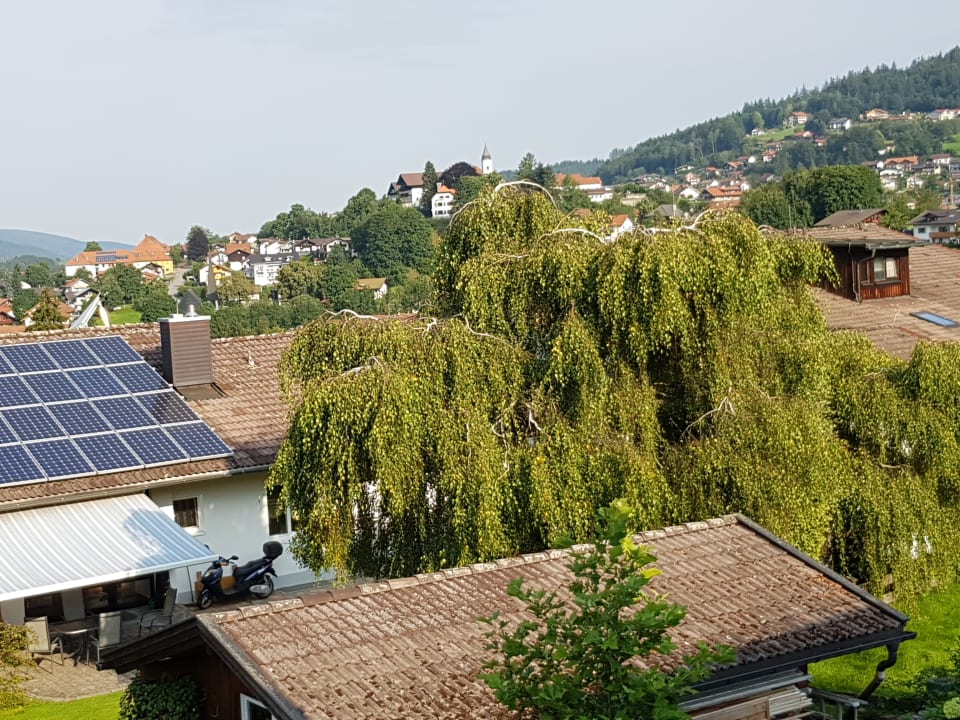 Ausblick Winterfeld Guest House Bodenmais