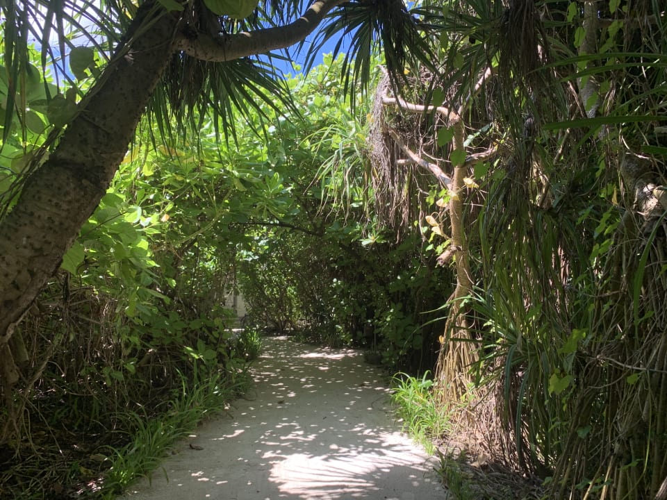 Garten Vakkaru Maldives