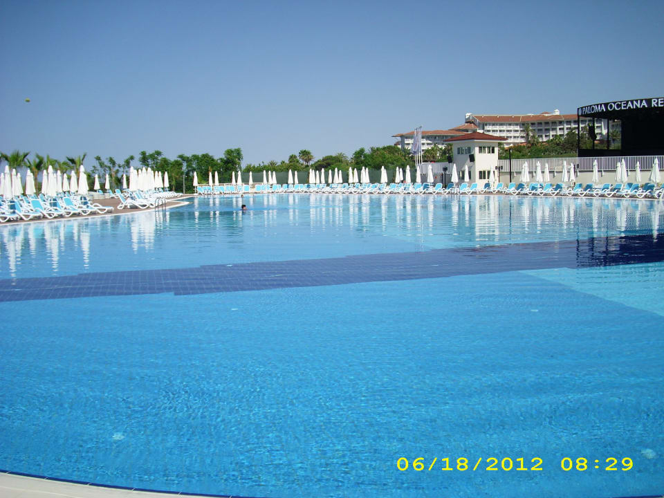 Actionpool Paloma Oceana