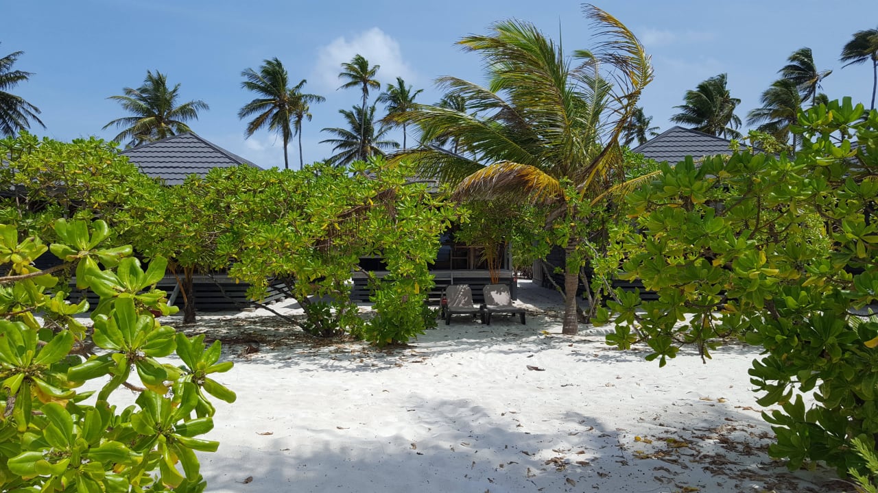 Beachvilla Kuredu Island Resort & Spa