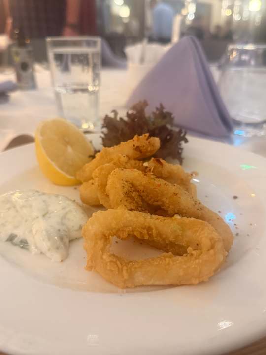 Gastro Seashell Vega