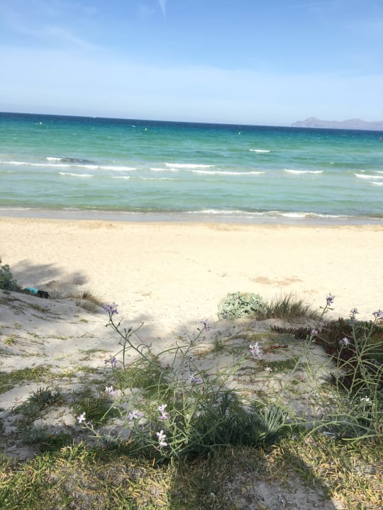 Strand Prinsotel La Dorada