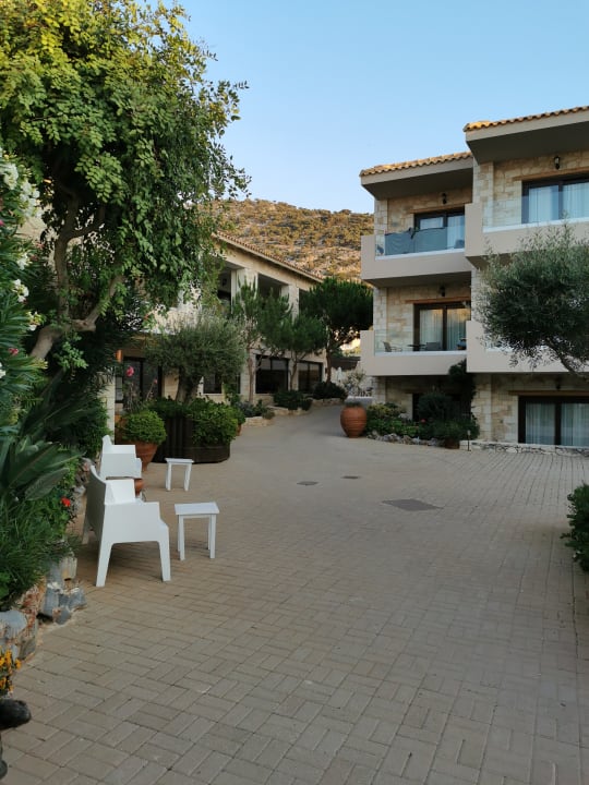 Sonstiges Cactus Royal