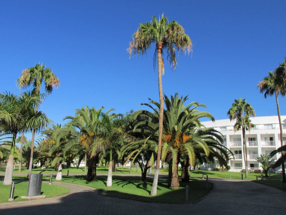 Schöne Gartenanlage Hotel Riu Gran Canaria