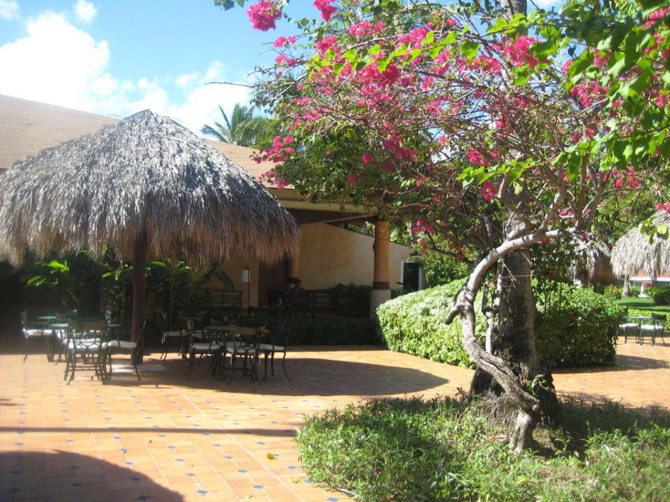 Lobby Bar Außen Grand Palladium Select Bávaro Resort & Spa
