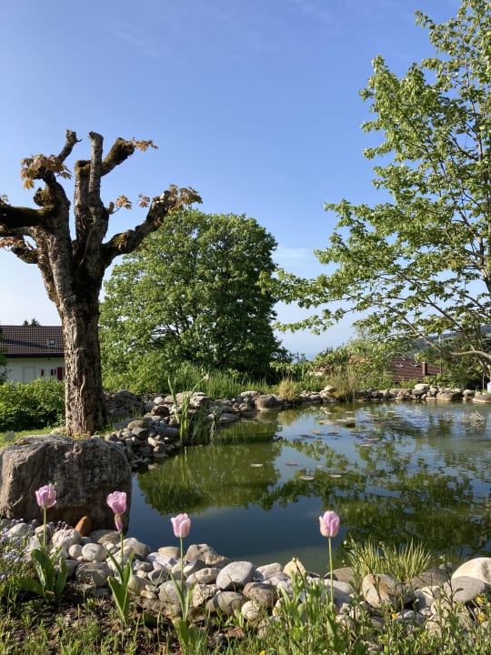 Gartenanlage Revital