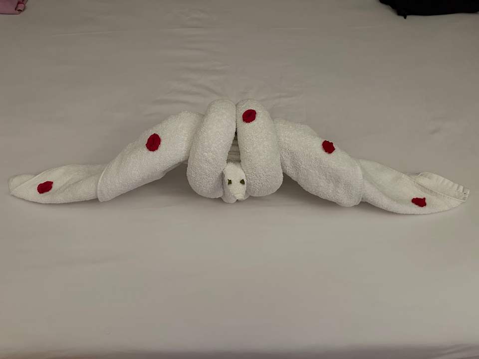 Zimmer Steigenberger Coraya Beach - Adults only