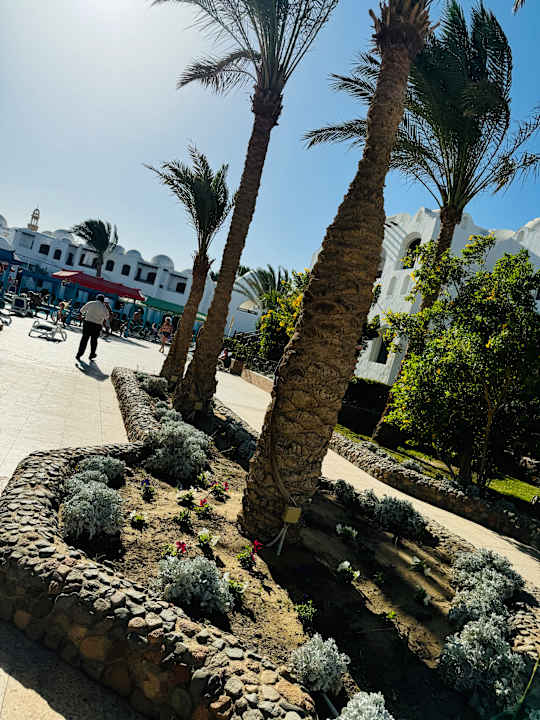 Gartenanlage Arabella Azur Resort