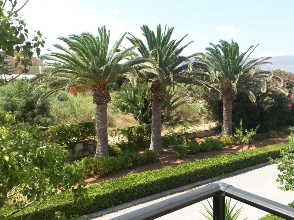 Ausblick Vantaris Luxury Beach Resort