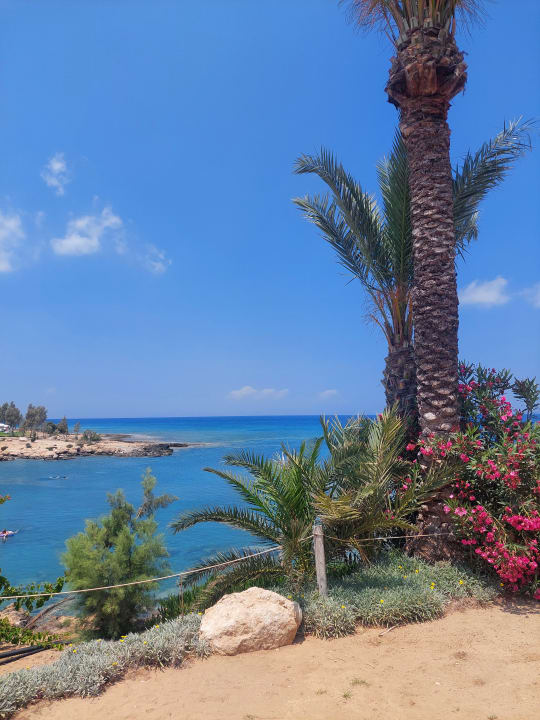 Außenansicht Crystal Springs Beach Hotel