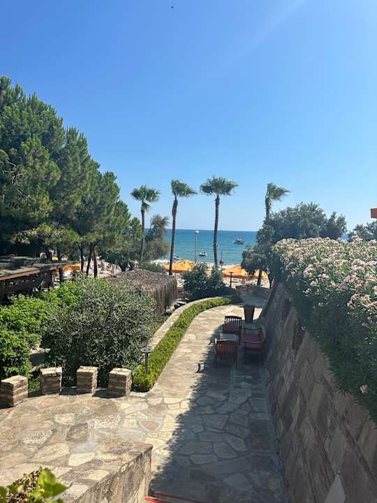 Gartenanlage Arum Barut Collection