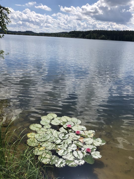 Ausblick Floating Village Brombachsee