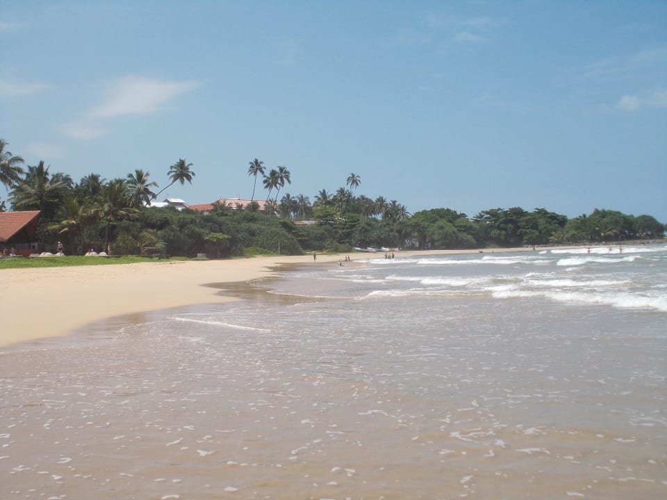 Strand Thaala Bentota