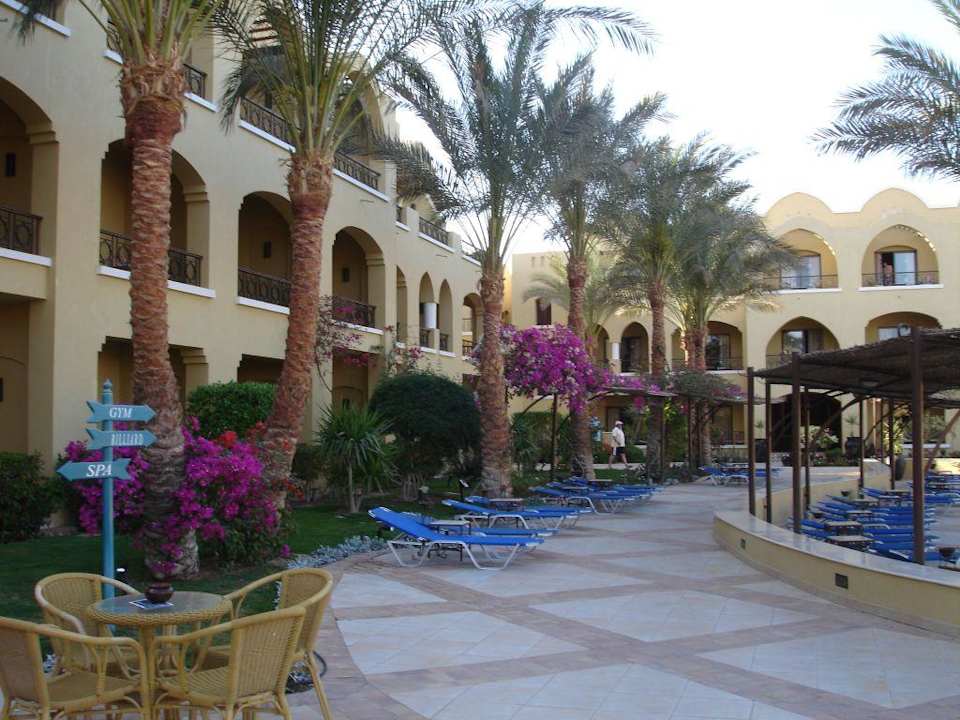 Morgenstimmung Jaz Makadi Gardens - TUI BLUE Makadi Gardens - Adults Friendly 16 Years Plus