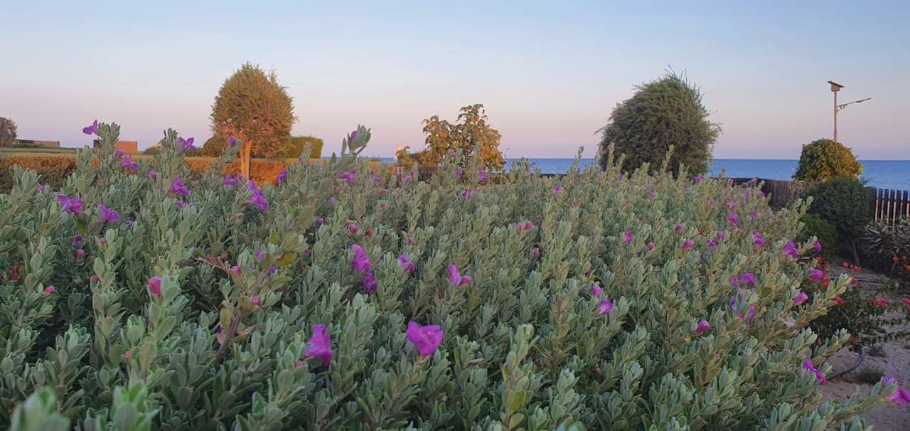 Ausblick Holiday complex Atlantis Gardens Mazotos - LCA011002-EYB