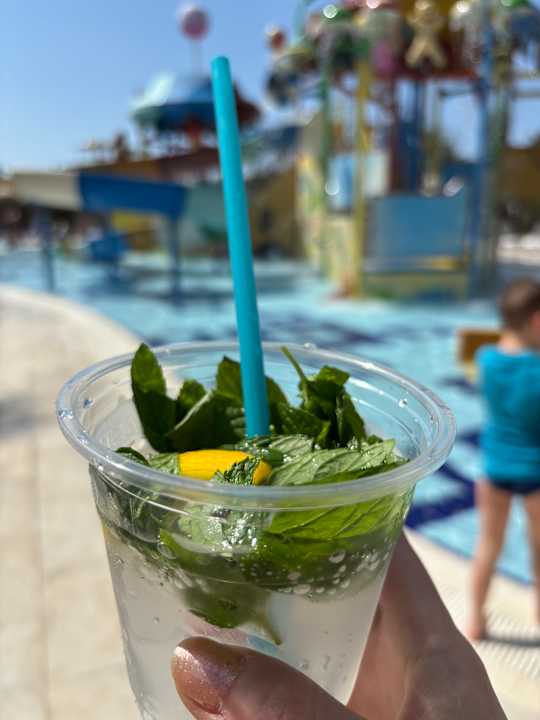 Gastro Saturn Palace Resort Hotel