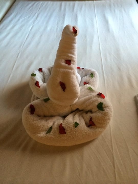 Figur  Jaz Makadi Oasis Resort