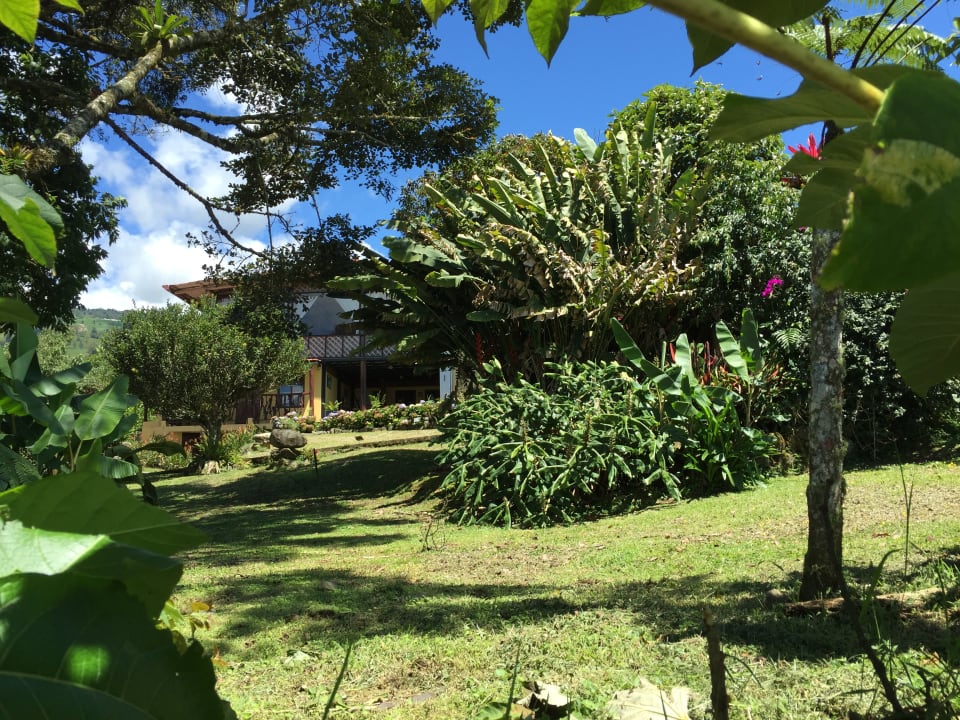 Gartenanlage Hotel Guayabo Lodge