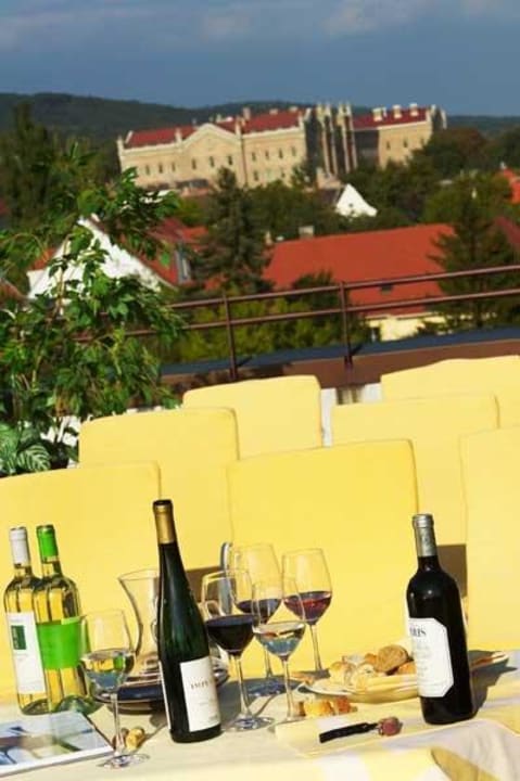 Hotel Burgenland - Terrasse Hotel Burgenland