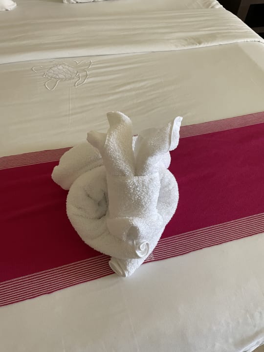 Zimmer Akumal Bay Beach & Wellness Resort