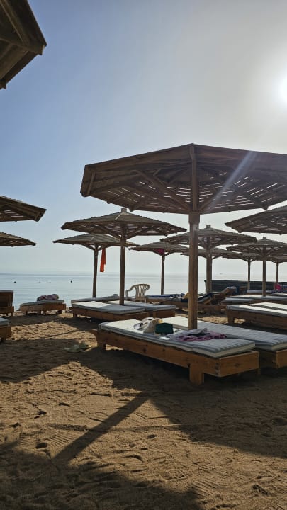Strand Palm Beach Resort