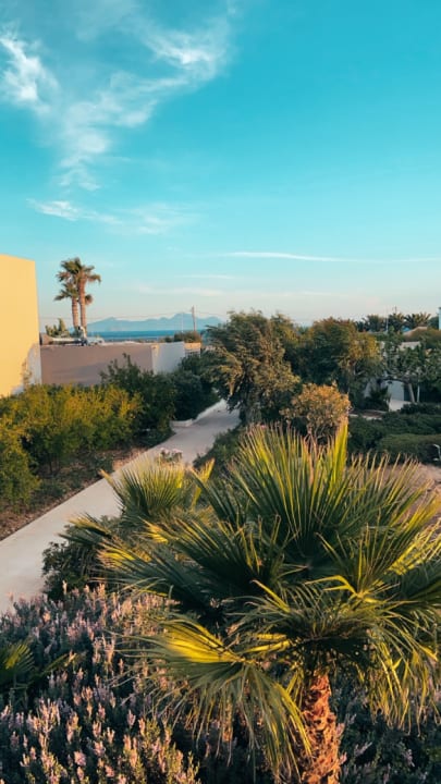 Zimmer Akti Palace Resort & Spa