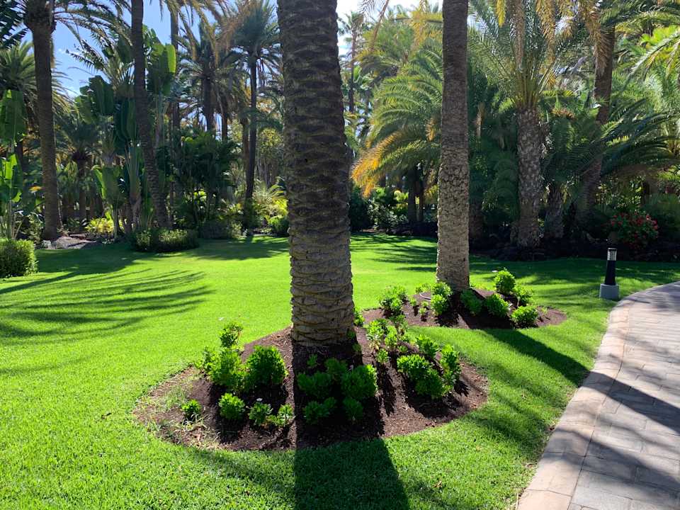 Gartenanlage Hotel Riu Palace Oasis