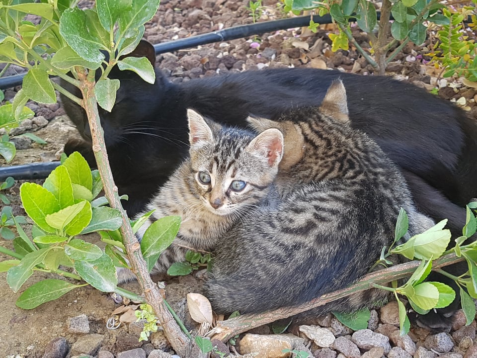 Sonstiges Korumar Ephesus Beach & Spa Resort