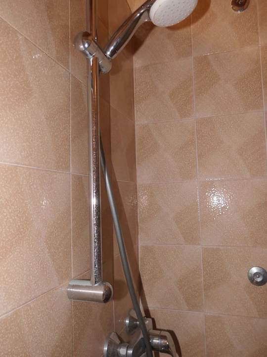 Zimmer Pension Alla Pineta