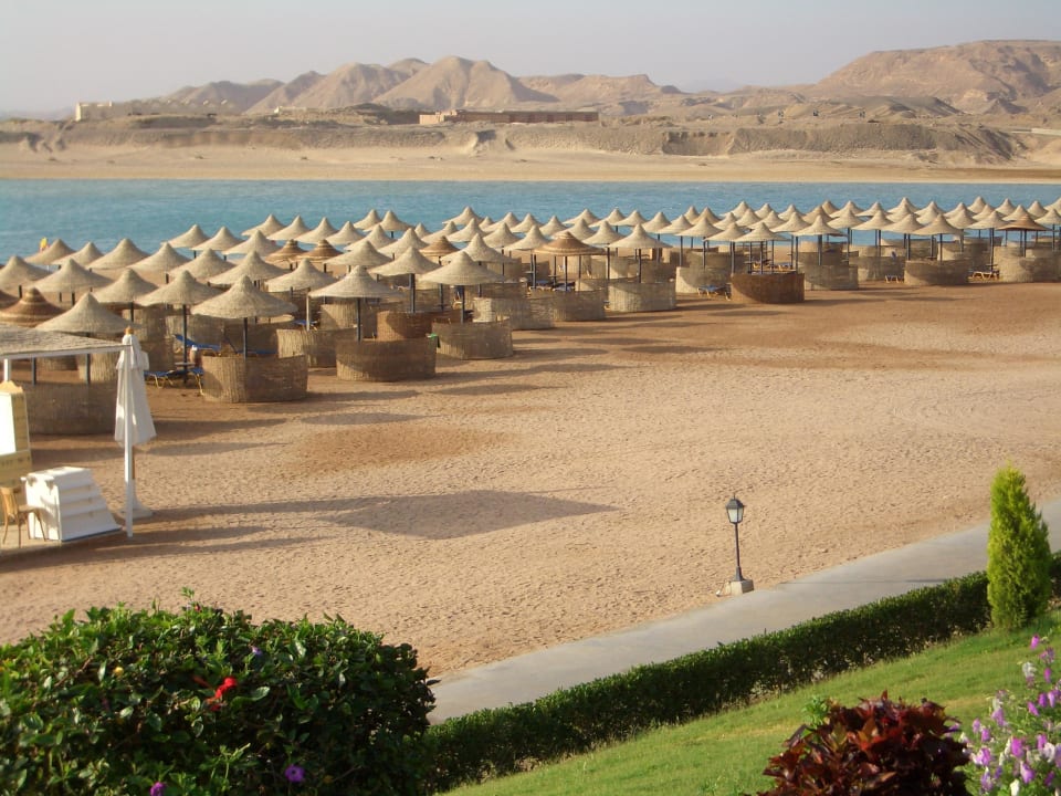Blick auf Strand TUI MAGIC LIFE Kalawy