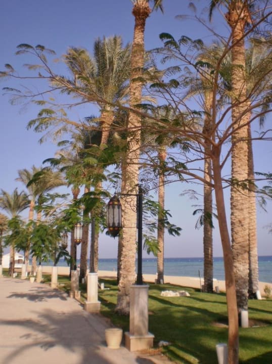 Promenade Makadi Spa - Adults only