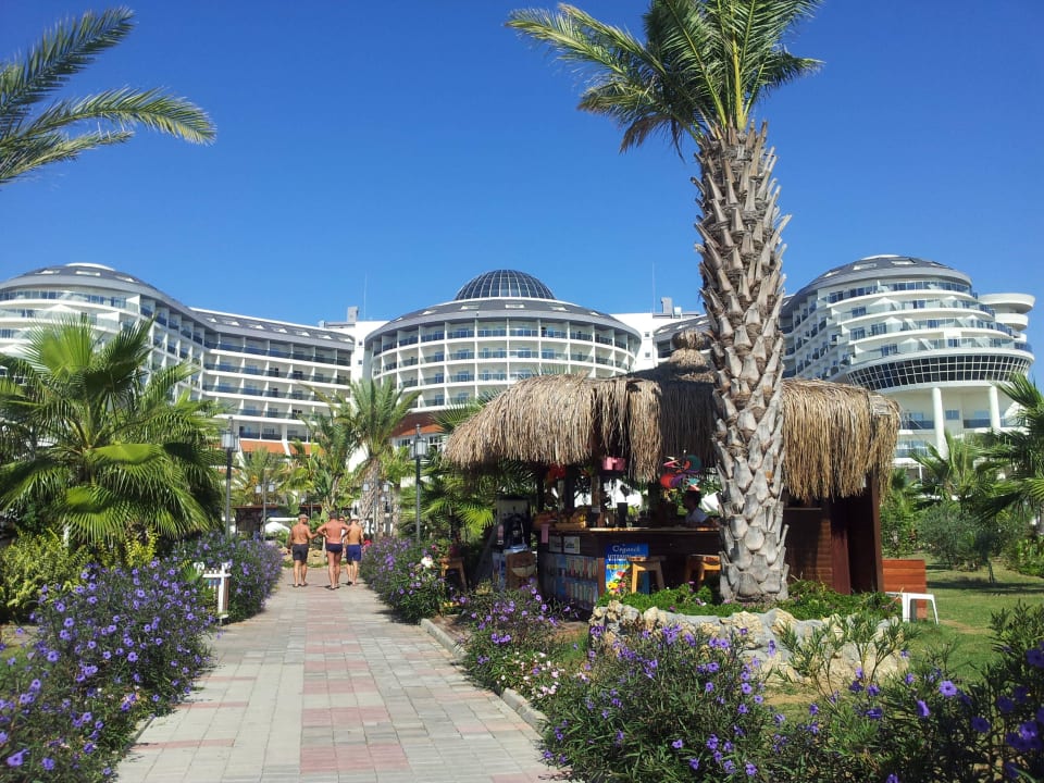 Hotel von Strandseite Seaden Sea Planet Resort & Spa