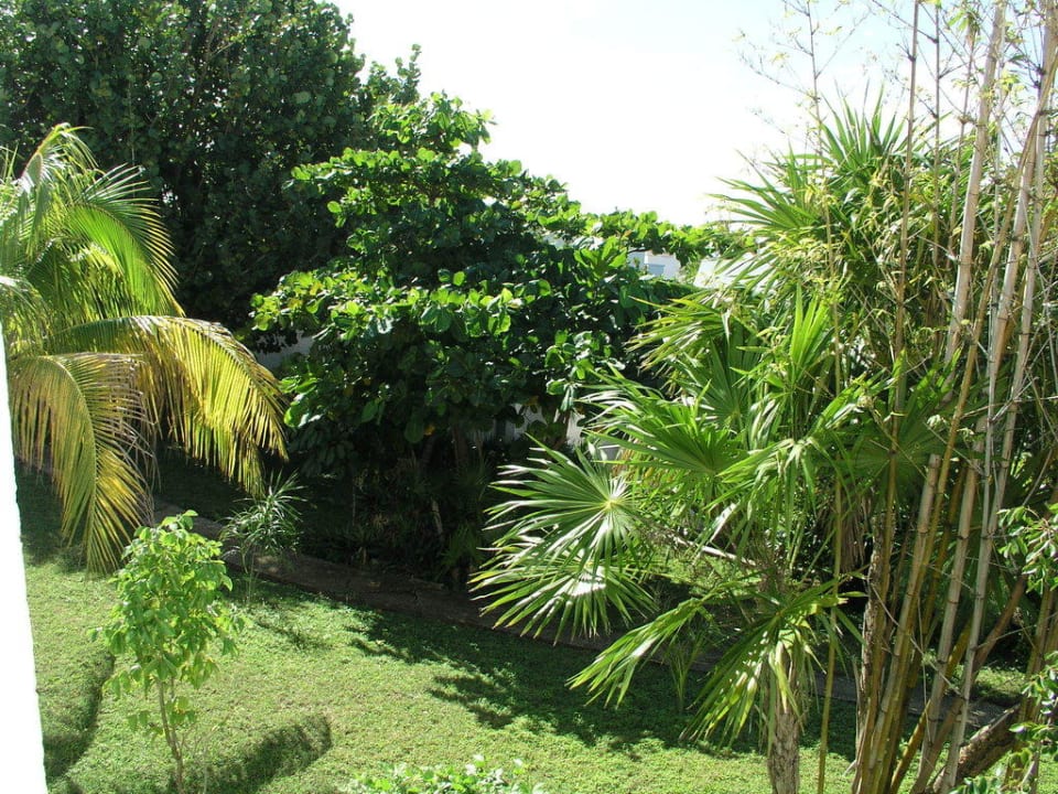 Garten zur Bungalowseite Maya Caribe Beach House by Faranda Hotels