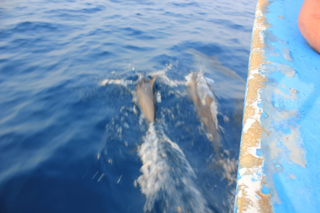 Delphine  Embudu Village