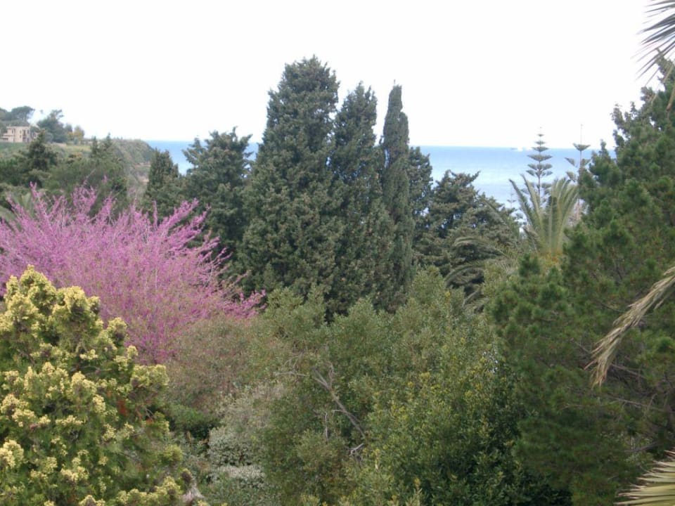 rocca nettuno Aldiana Club Rocca Nettuno Calabria