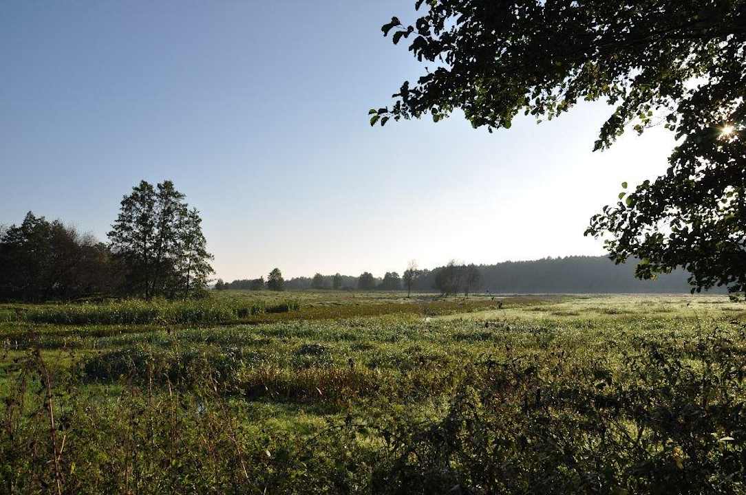Łąki widziane z Dworku Dworek nad Łąkami Kiermusy