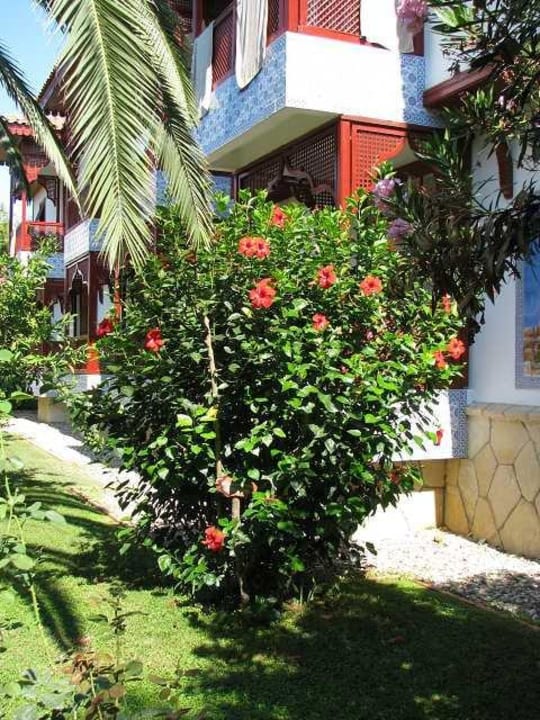 Wohnhaus Ali Bey Club